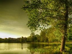 green landscape of a forest lake in Poland