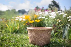 basket and summer wildflowers