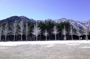 landscape of the wintry nature