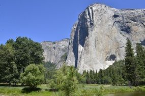 cliff in the Yosemite National Park, United States