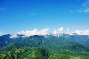 landscape of green hills in vietnam