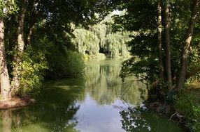 landscape of calm lake in green forest at summer