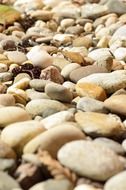 irresistible stones pebbles