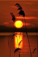 Landscape of lake bank at the evening sunset