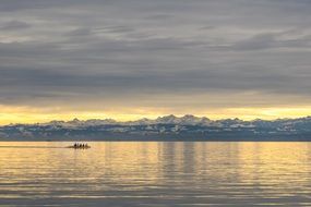 view of the alps from lake constance