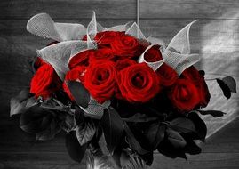 bouquet of red roses at greyscale background