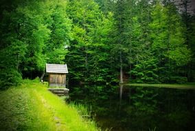 gazebo in the pond in the bavarian forest