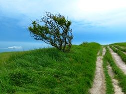 hiking path in England