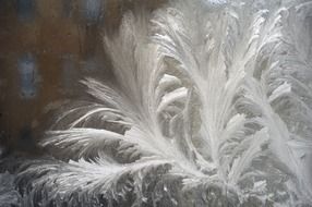 frfrozen ice cold