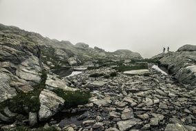 hikers in alps