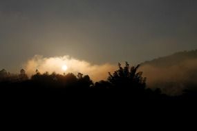 sunrise behind trees in the mountains