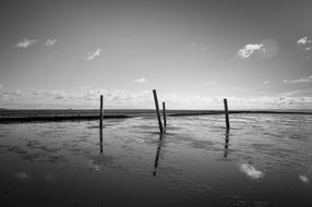 beach piles sky black and white recording