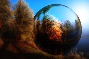 tree ball glass landscape