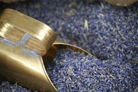 dried lavender as spice