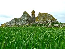 ancient ruins in summer