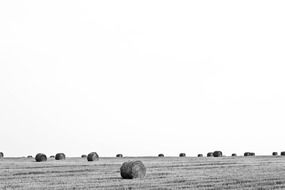 bales of straw in field black and white view