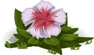 flower white red drawing