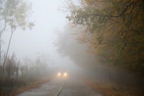 car on a foggy road