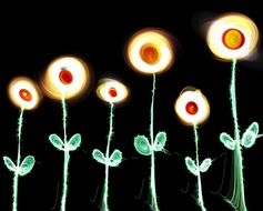 flowers glow plants