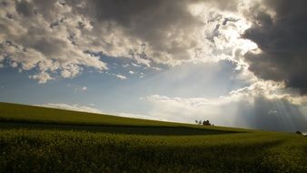 cloudy sky over the meadow
