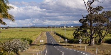 empty road between agricultural fields