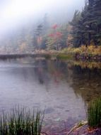 picturesque pond in a haze of fog