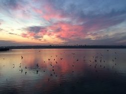 sunset clouds mirroring in lake, Turkey, KÃ¼Ã§Ã¼kÃ§ekmece