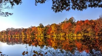 landscape of lake and wonderful autumn forest