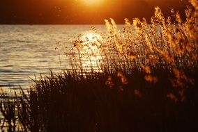 landscape of the peaceful atmosphere at lake