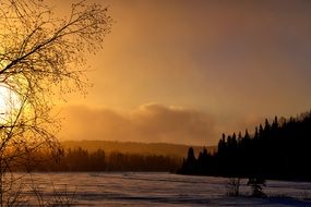 winter sunset landscape forest outlines