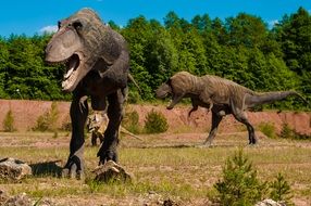 dinosaur carnivores