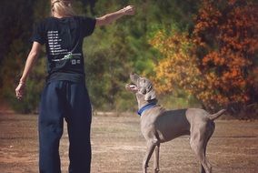 blond Girl playing with the dog