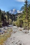 mountain trail among trees in Slovenia