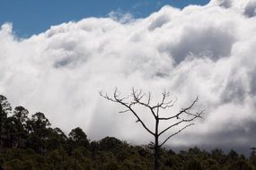 national park, tenerife