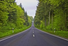 landscape of perfect empty road in a forest