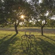 standing bike on a green meadow