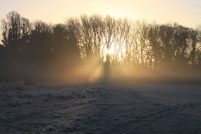 winter frozen sunrise