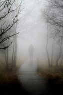 landscape of man among the trees in the fog