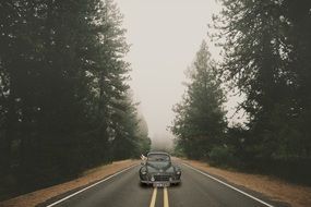 retro car on a highway along trees