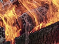 Flames of fire on wooden logs