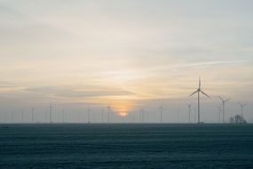 wind turbines on a filed