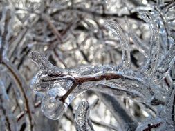Ice on trees