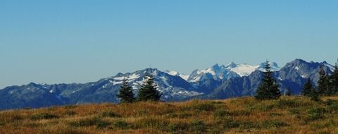 Landscape Picture of mountains in olympic national park in washington