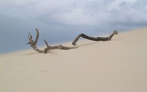 sand desert dunes