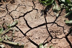 Cracked Earth during a drought