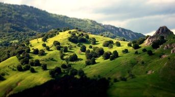 landscape of the green mountains