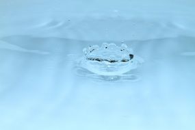 close up water drop