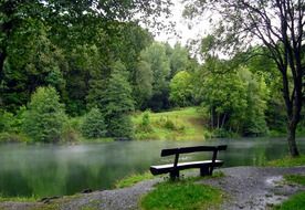 nature lake bank