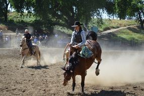 horse rodeo on sand on a sunny day