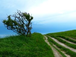 hiking trail path